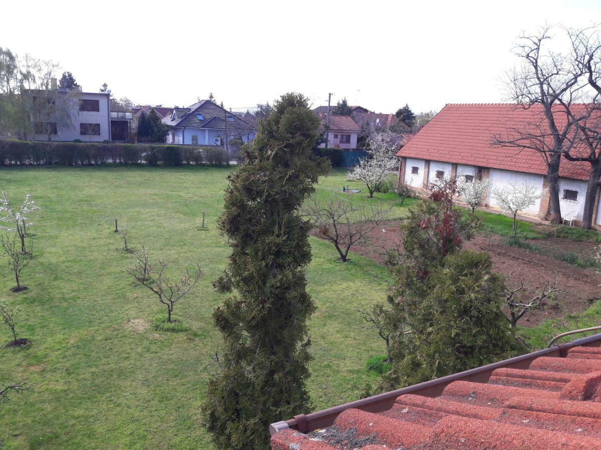 Villa Kysucka Senec Dış mekan fotoğraf